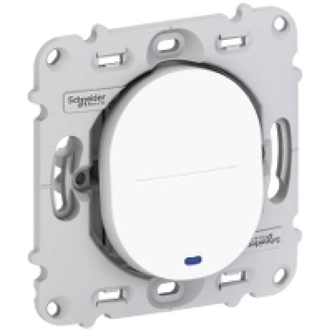 Schneider Electric Va Et Vient Lumineux 10 A Blanc Fixation Par