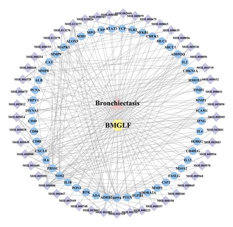 Compound Target Disease Network The Triangular Pink Node Represents