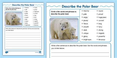 Polar Bear Description Activity | Animals | Twinkl USA