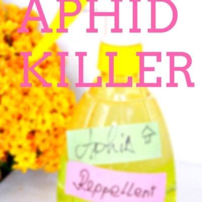 Brilliant Homemade Aphid Spray That Works Easy Peasy Creative Ideas