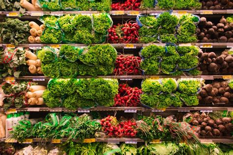 6 Eco Un-Friendly Habits You Need to Stop Now! | Greener Ideal 