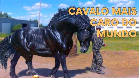 TOP 5 CAVALOS MAIS CARO DO MUDO YouTube