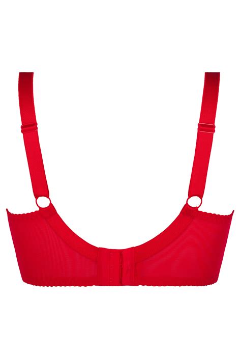 Roter BH Mit Schleifchen Queensize BHs Heben Club Hot Fashion Odretto Highheels