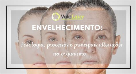 O Processo De Envelhecimento Chegará Para Todas As Pessoas - Fisiologia do envelhecimento: processos e alterações no organismo ...