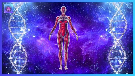 Alpha Waves With Whole Body Regeneration Healing Energy Repairs Dna