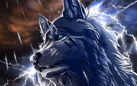 Alpha Wolf Wallpapers Top Free Alpha Wolf Backgrounds Wallpaperaccess