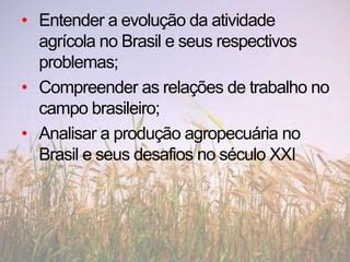 Agricultura brasileira | PPTX