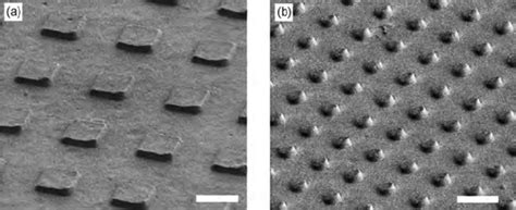 11 Scanning electron microscopy images of: (a) 25 μ m 2 , 500 nm - tall ...
