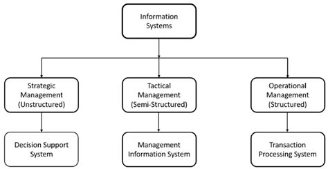 Types of Information System | Download Scientific Diagram