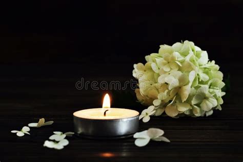 Funeral Flowers and Candle on Dark Background Stock Photo - Image of ...