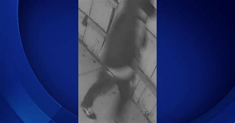 Search Continues For Suspect Who Sexually Assaulted Victim In Silver Lake During String Of Hot