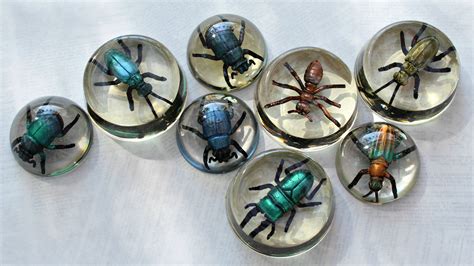 Mark Montano Faux Bugs In Resin