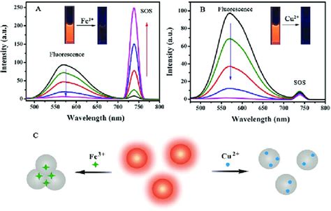 Fluorescence And Sos Spectra Of Au Ncs In The Presence Of Various