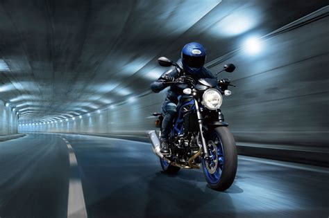 Suzuki SV650 und SV650X 2021