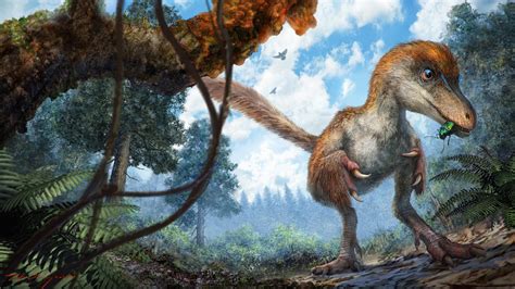When Did The Dinosaurs Roam Earth - The Earth Images Revimage.Org