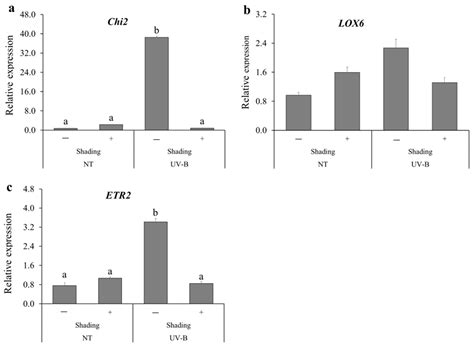 Agronomy Free Full Text Ultraviolet B Irradiation Induces