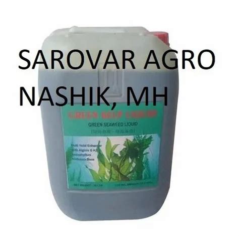 seaweed extract green seaweed extract liquid manufacturer  nashik