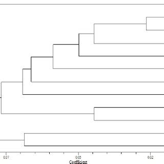 Upgma Dendrogram Based On Neis Genetic Distances Among