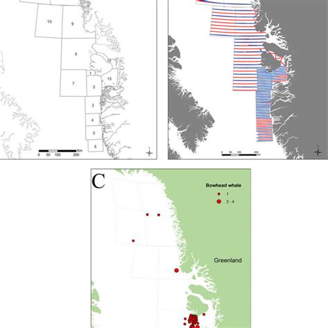 Stratification A Planned Transects Red And Realized Transect Lines