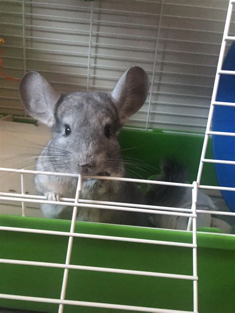 Hi mama! Waking up early to tell you good luck on your finals💕 | Scrolller