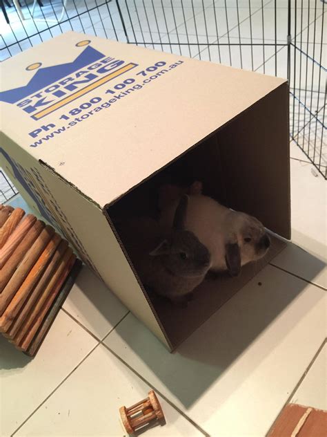 Our guys were a little surprised... - Storage King Australia