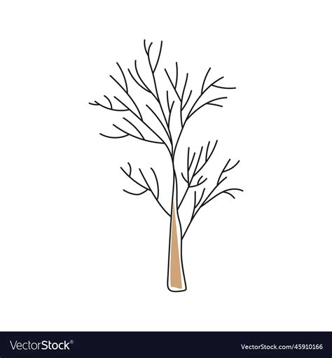 Tree Without Leaves Royalty Free Vector Image Vectorstock