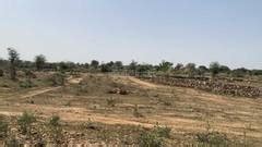 Residential Plot Sq Yards For Sale In Rudraram Hyderabad Rei