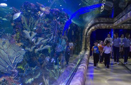 Acuario Inbursa Celebra Su Primer Aniversario