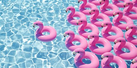 Swimming Pool Installation Camas Wa Polar Pool And Spa