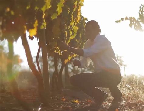 Palo Alto | WineMaps