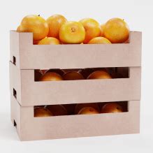 yangming marine transport corp