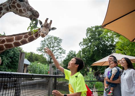 philadelphia zoo history   making philadelphia zoo