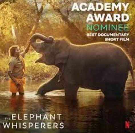 Netflixs Short Indian Documentary The Elephant Whisperers Won An