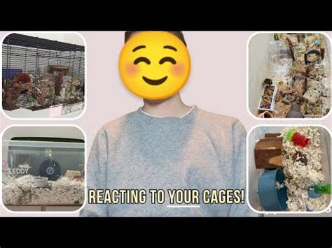 Reacting To My Subscribers Hamster Cages Pt Youtube