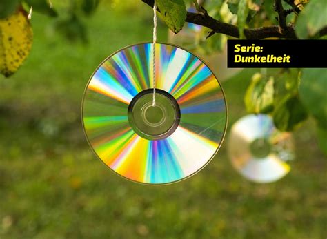 Dunkelheit: So warnen CDs und Co vor Wild - motus Magazin