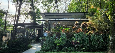 traveling food   soul sentul ah poong taman budaya