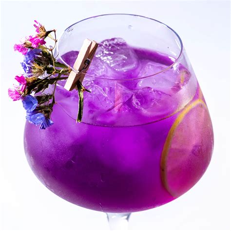 Purple Cocktails Vibrant Flavorful Purple Hued Drinks