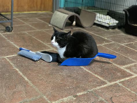 Why was I surprised? | Scrolller