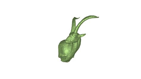 Ibex – Trophy Vault