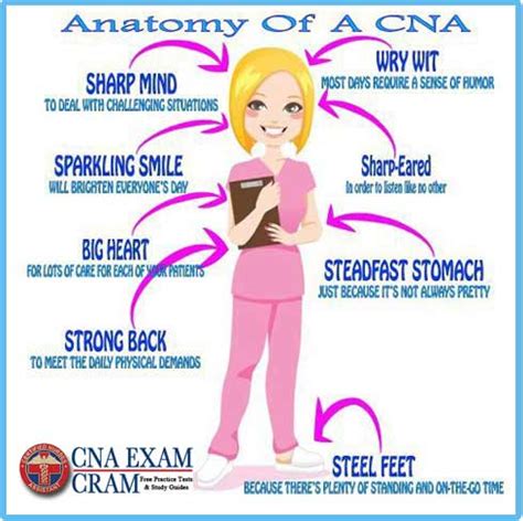 Unveiling The Role Of Lpn In Practical Nursing Online Chiropractic
