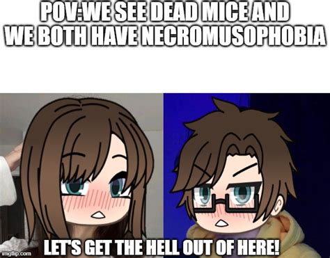 Me And Male Cara Both Have Necromusophobia Imgflip