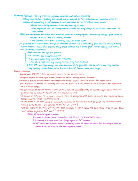 Synapses Graded Potentials And Action Potentials Membrane