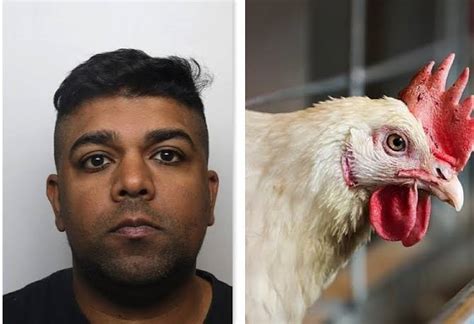 Year Old Pervert Bags Three Years In Jail For Having Sex With Chickens Per Second News