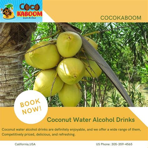 coconut water alcohol drinks  cocokaboom  deviantart