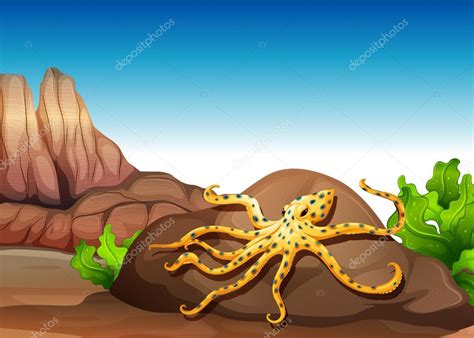 An Octopus At The Rock — Stock Vector © Blueringmedia 51263787