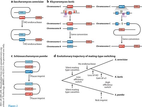 Figure From Sex In Fungi Semantic Scholar