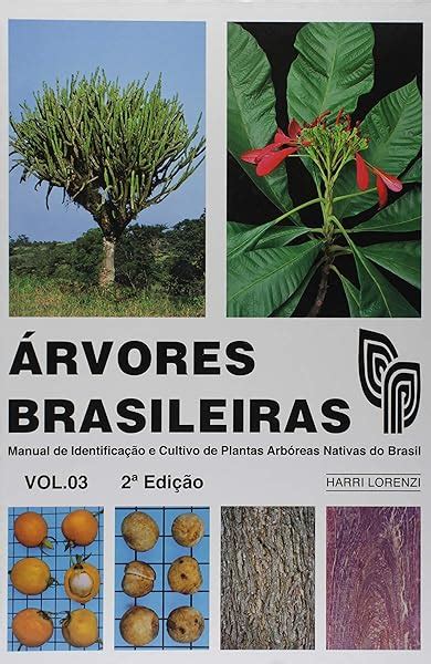 PDF Árvores Brasileiras Manual de Identificação e Cultivo de Plantas