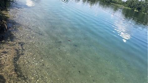 Older Men Cumshots Compilation Search XVIDEOS