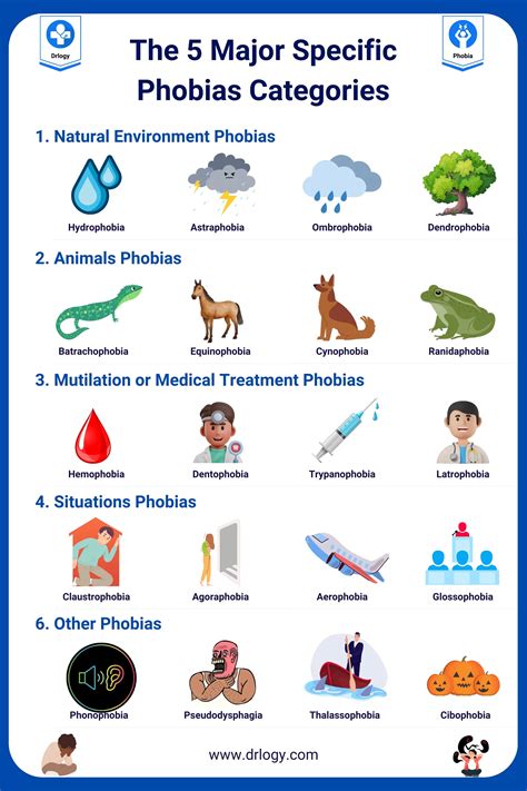 List Of 500 Types Of Phobias From A To Z Drlogy