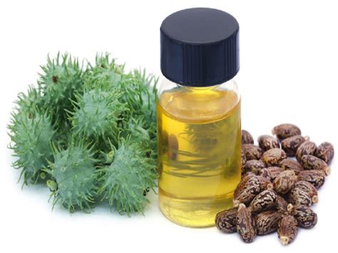 castor oil keyvan gostar mahsa trading company